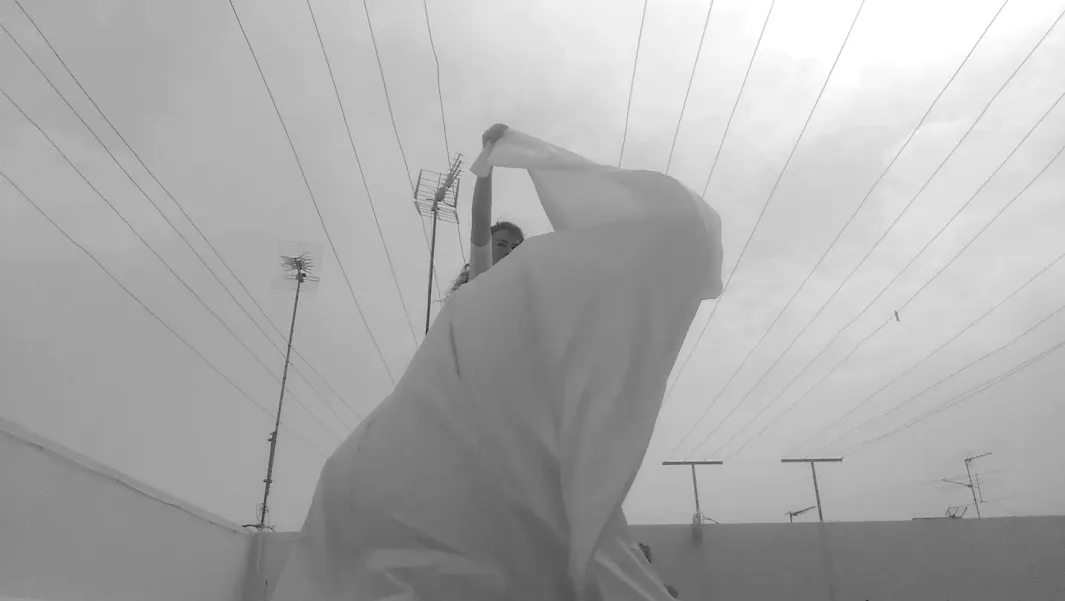 Anexo a mi Bandera - Carlota berzal