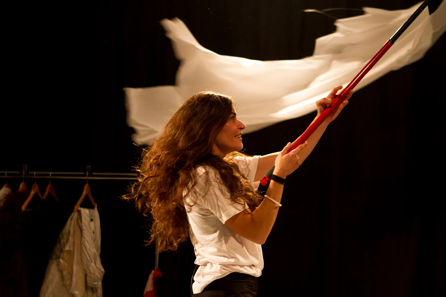 Anexo a mi Bandera - Carlota berzal