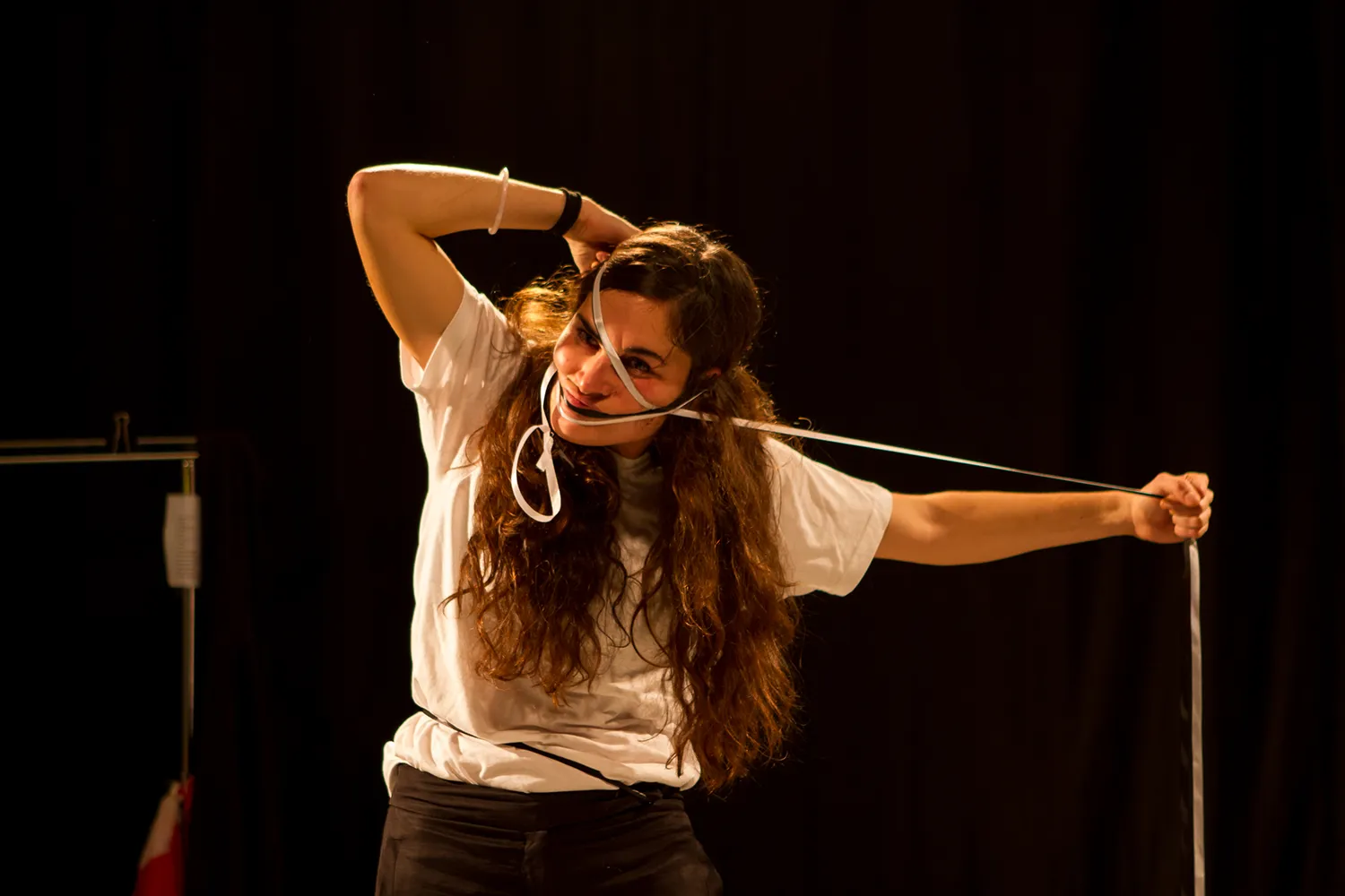 Anexo a mi Bandera - Carlota berzal